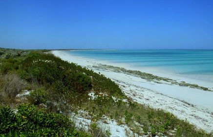 Lire la suite à propos de l’article Terrain bord de mer 5 289m2