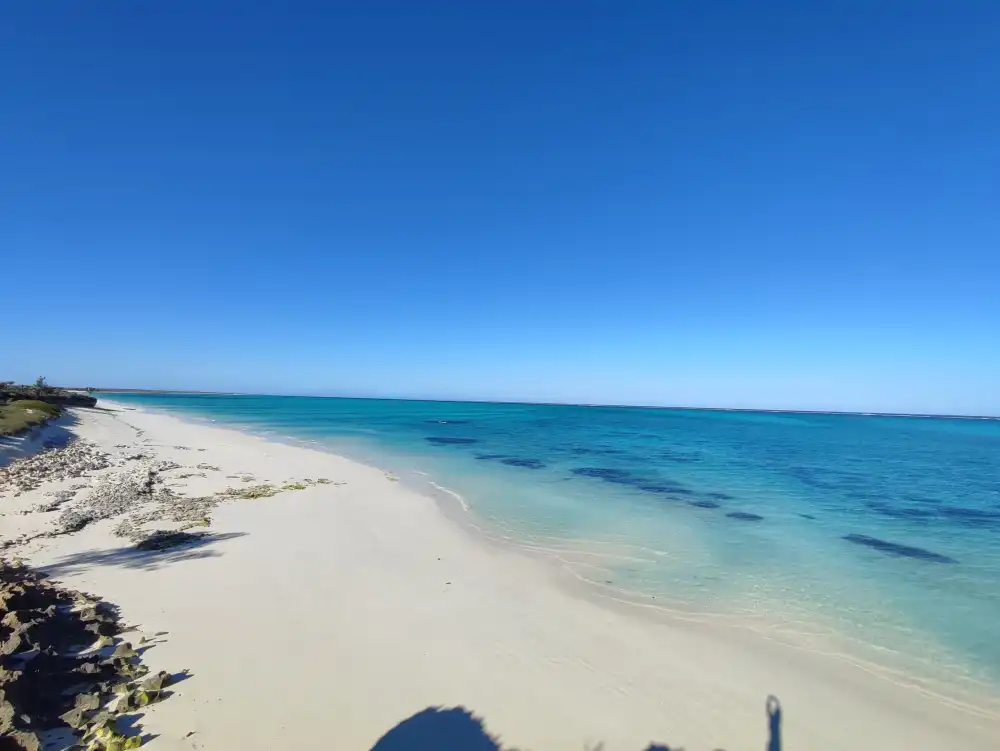 plage de reve sous les tropiques du capricorne a tulear salary ankasy madagascar tsiandamba ambatovakylodge five sens