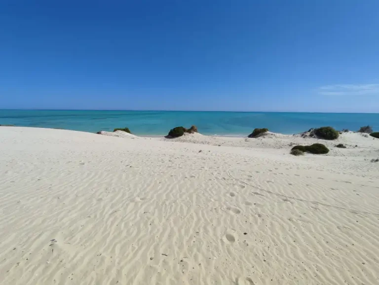 Lire la suite à propos de l’article Terrains bord de mer 25m/50m/75m de plage