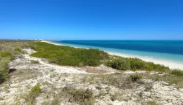 Terrain bord de mer 200m de plage (morcelable)