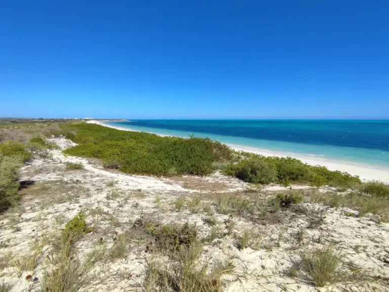 Lire la suite à propos de l’article Terrain bord de mer 200m de plage (morcelable)