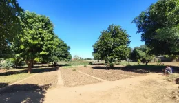 terrain arboré verdoyant agricole eau puits terre riche ideal habitation construction plantation