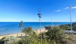 terrain arboré a vendre plage mer lagon sable tropical proche tulear a saisir rare opportunité puits hotel tourisme mangily