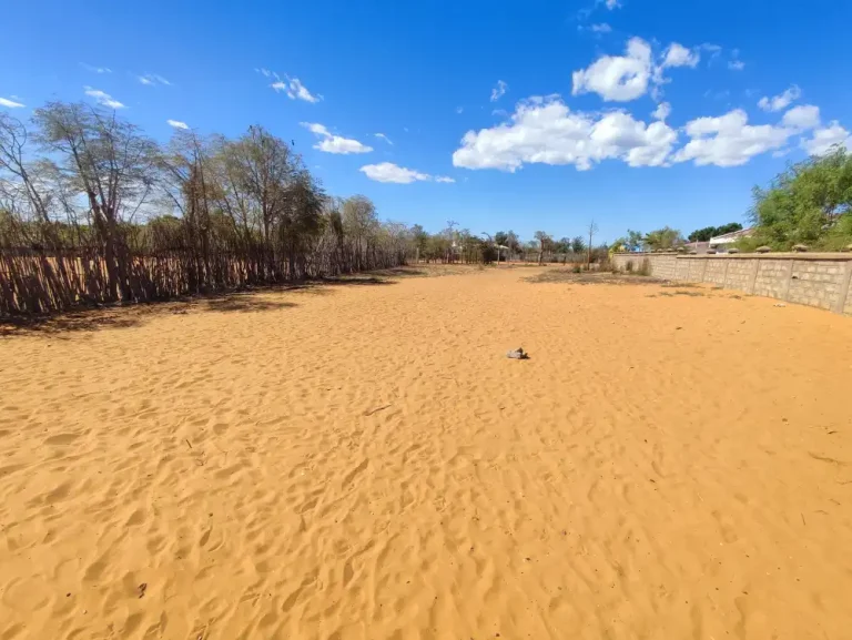 Lire la suite à propos de l’article Terrain plat 1 118m2 proche réserve Baobab