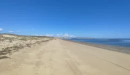 Terrain plat en bord de mer 80m de plage