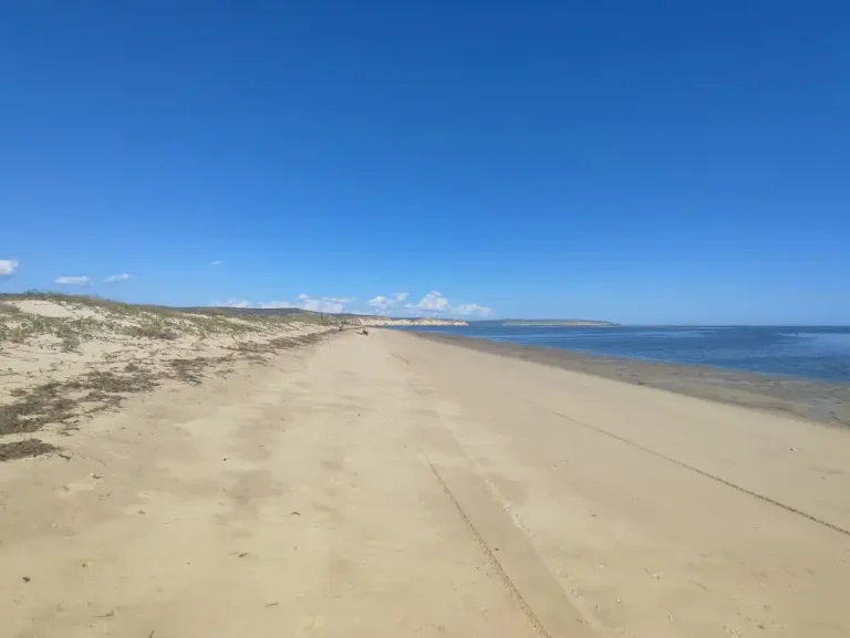 Lire la suite à propos de l’article Terrain plat en bord de mer 80m de plage