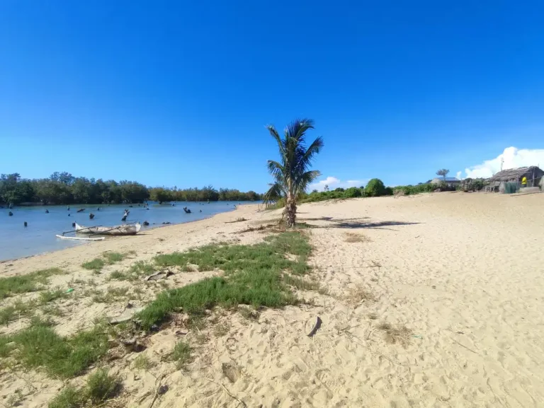 Lire la suite à propos de l’article Terrain 590m2 bord de mer à 20mn de Tuléar