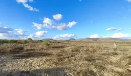 terrain a avendre ankilibe brousse fôret est patience clame serenite colline montagne prairie bord de mer st augustin tulear madagascar