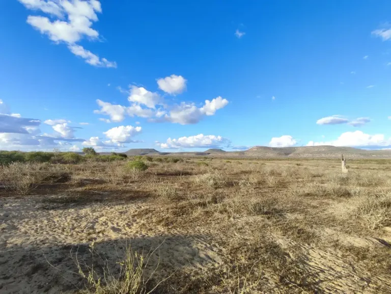 Lire la suite à propos de l’article Terrain 4968m2 vue panoramique